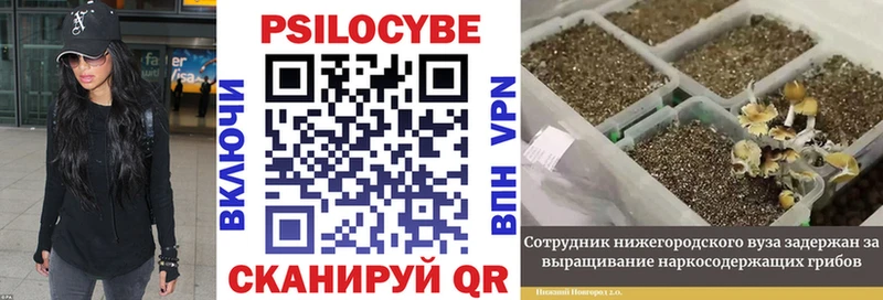 Псилоцибиновые грибы MAGIC MUSHROOMS  Холмск 